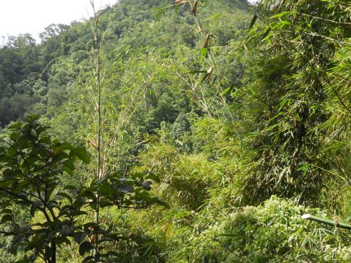 Look-Out-Bump-Cunha-Cunha-Pass-Trail-SOtuokon