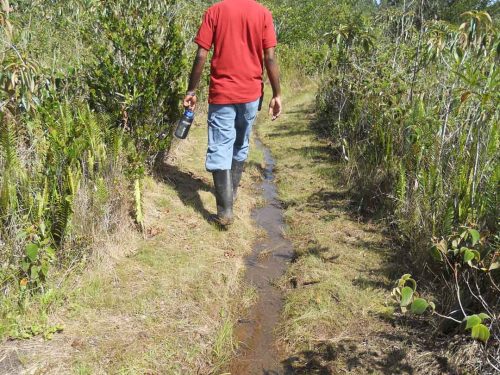 Mason-River-wetland-SOtuokon2013